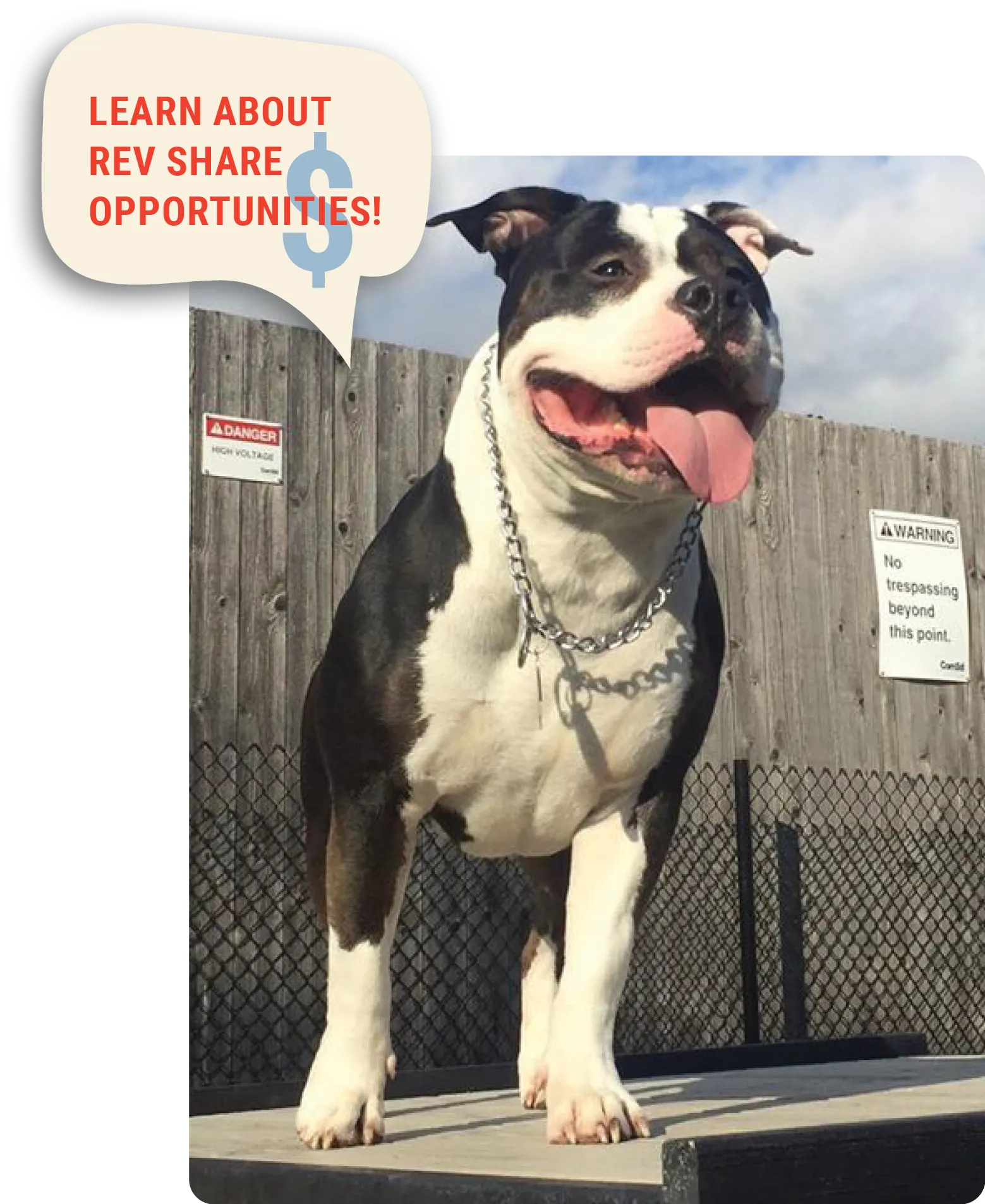 Gumball Speaking About Rev-Share