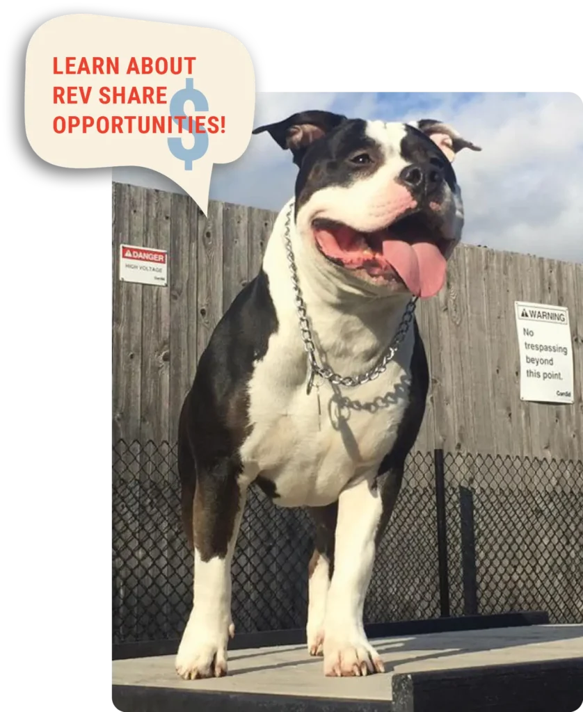 Dog standing at a self-serve dog wash station at a dog park
